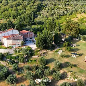 Florence Violetta Apartment Bagno a Ripoli